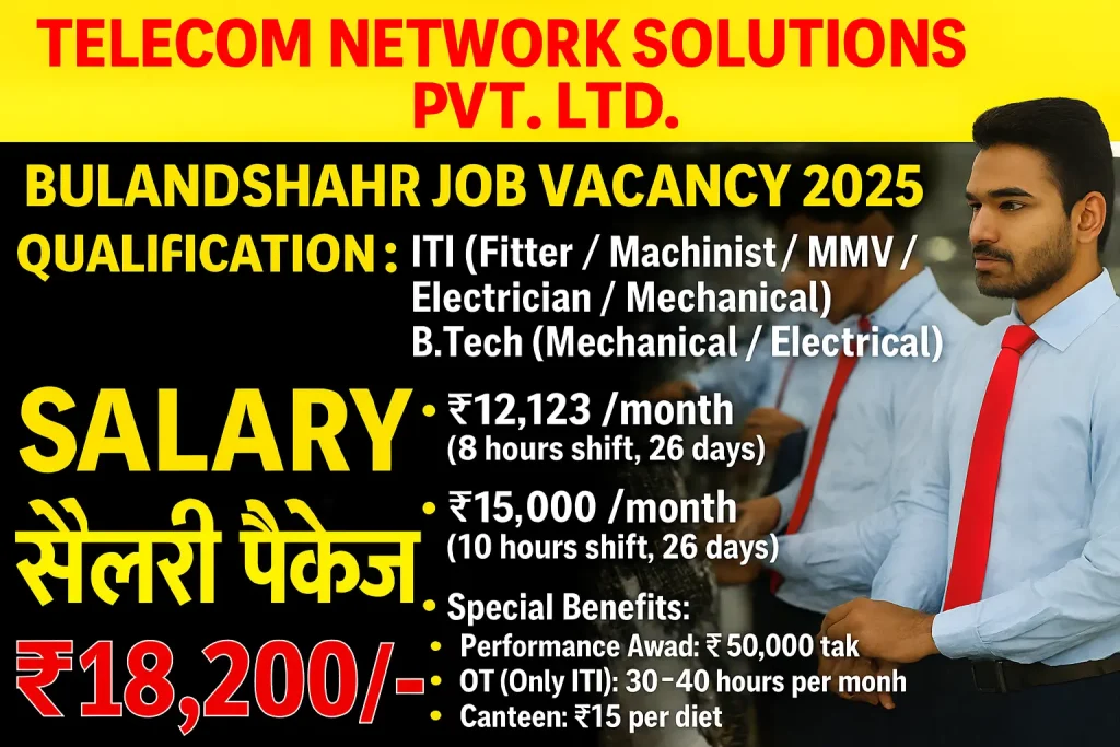 Telecom Network Solutions Pvt. Ltd. – Bulandshahr Job Vacancy 2025